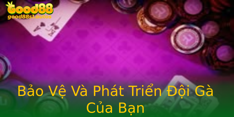 Bảo Vệ Và Phát Triển Đội Gà Của Bạn