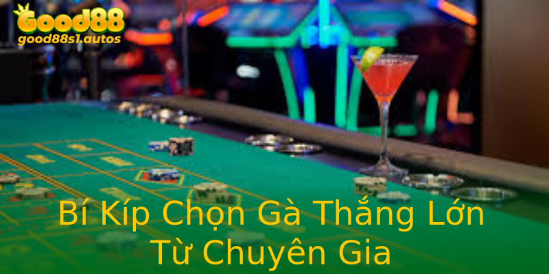 Bí Kíp Chọn Gà Thắng Lớn Từ Chuyên Gia