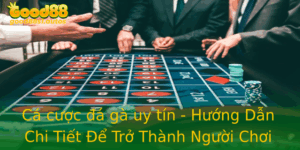 Ca Cuoc A Ga Uy Tin Huong Dan Chi Tiet E Tro Thanh Nguoi Choi Thong Thai 1