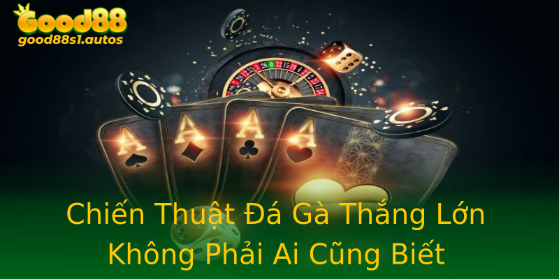 Chiến Thuật Đá Gà Thắng Lớn Không Phải Ai Cũng Biết