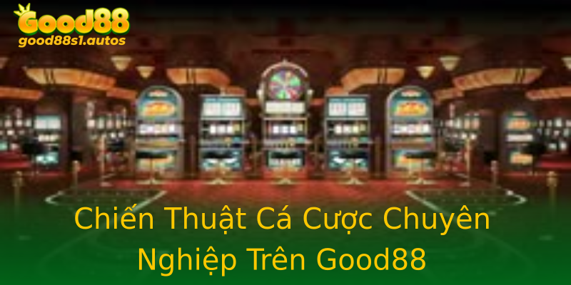 Chiến Thuật Cá Cược Chuyên Nghiệp Trên Good88 Chiến Thuật Cá Cược Chuyên Nghiệp Trên Good88