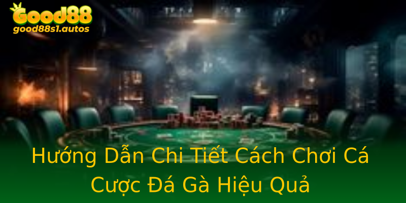 Hướng Dẫn Chi Tiết Cách Chơi Cá Cược Đá Gà Hiệu Quả