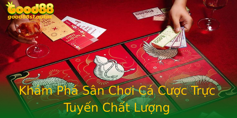 Khám Phá Sân Chơi Cá Cược Trực Tuyến Chất Lượng