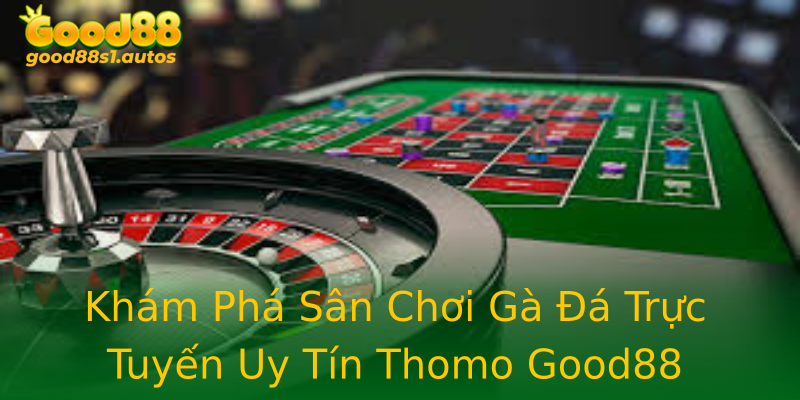 Khám Phá Sân Chơi Gà Đá Trực Tuyến Uy Tín Thomo Good88