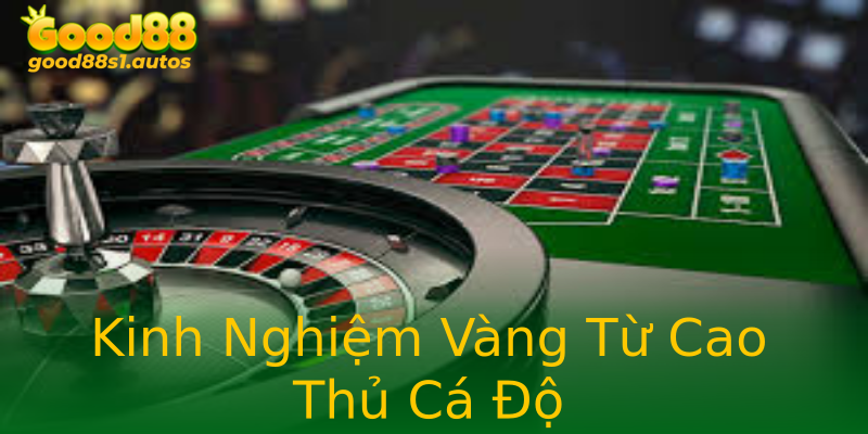 Kinh Nghiệm Vàng Từ Cao Thủ Cá Độ Kinh Nghiệm Vàng Từ Cao Thủ Cá Độ