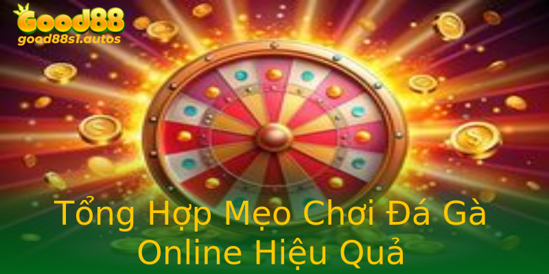 Tổng Hợp Mẹo Chơi Đá Gà Online Hiệu Quả Tổng Hợp Mẹo Chơi Đá Gà Online Hiệu Quả