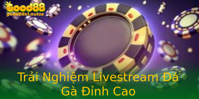 Trải Nghiệm Livestream Đá Gà Đỉnh Cao Trải Nghiệm Livestream Đá Gà Đỉnh Cao